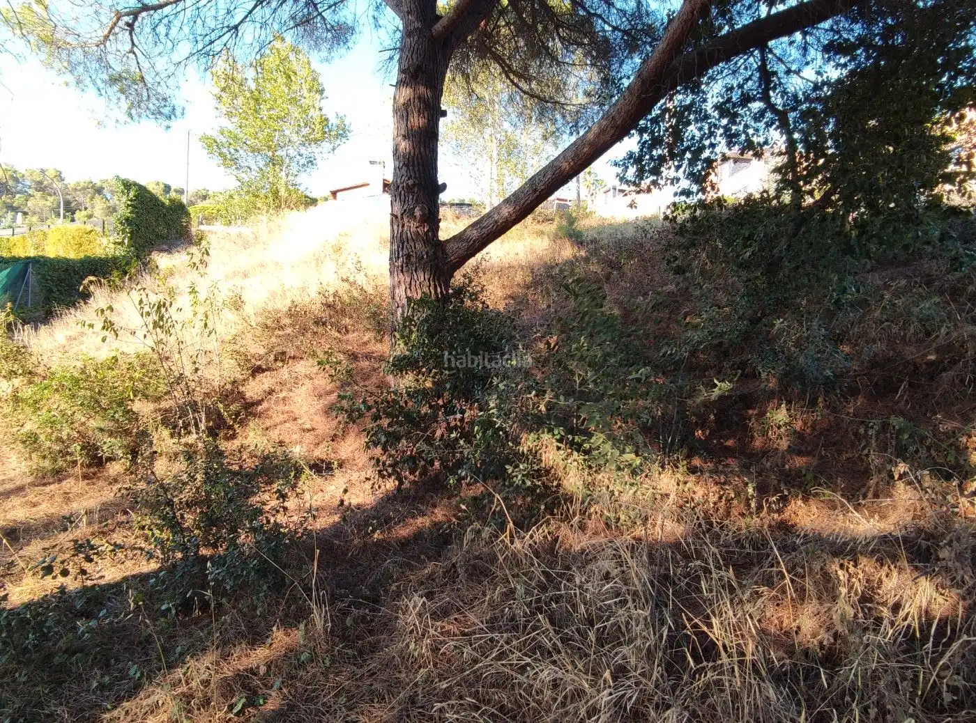 Terreno residencial en venta en Carrer la Pineda 3, imagen 6