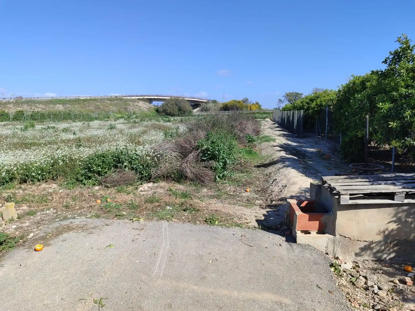Terreno rústico en venta en Formentera del Segura, imagen 4