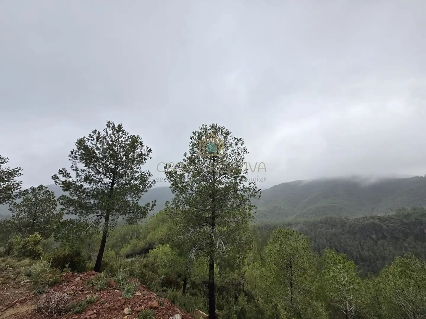 Casa o chalet en venta en Torralba del Pinar