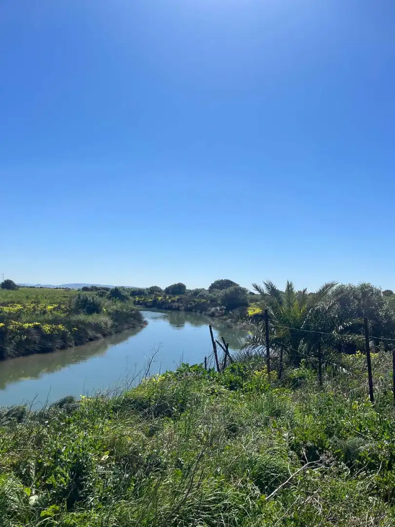 Terreno rustico in vendita a Tarifa ciudad