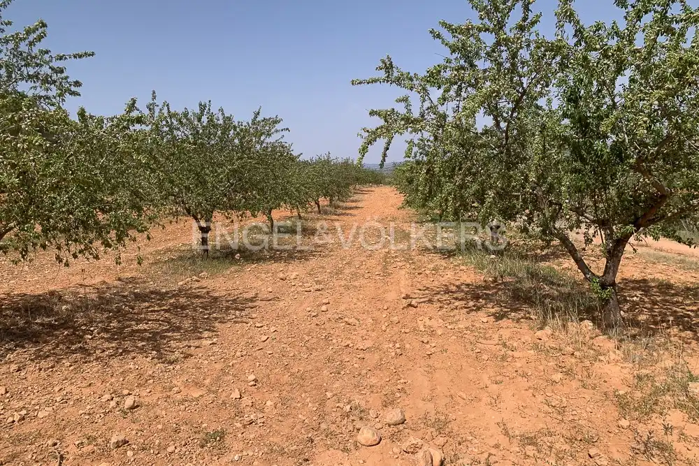 Lands and plots for sale in Requena, imagen 28