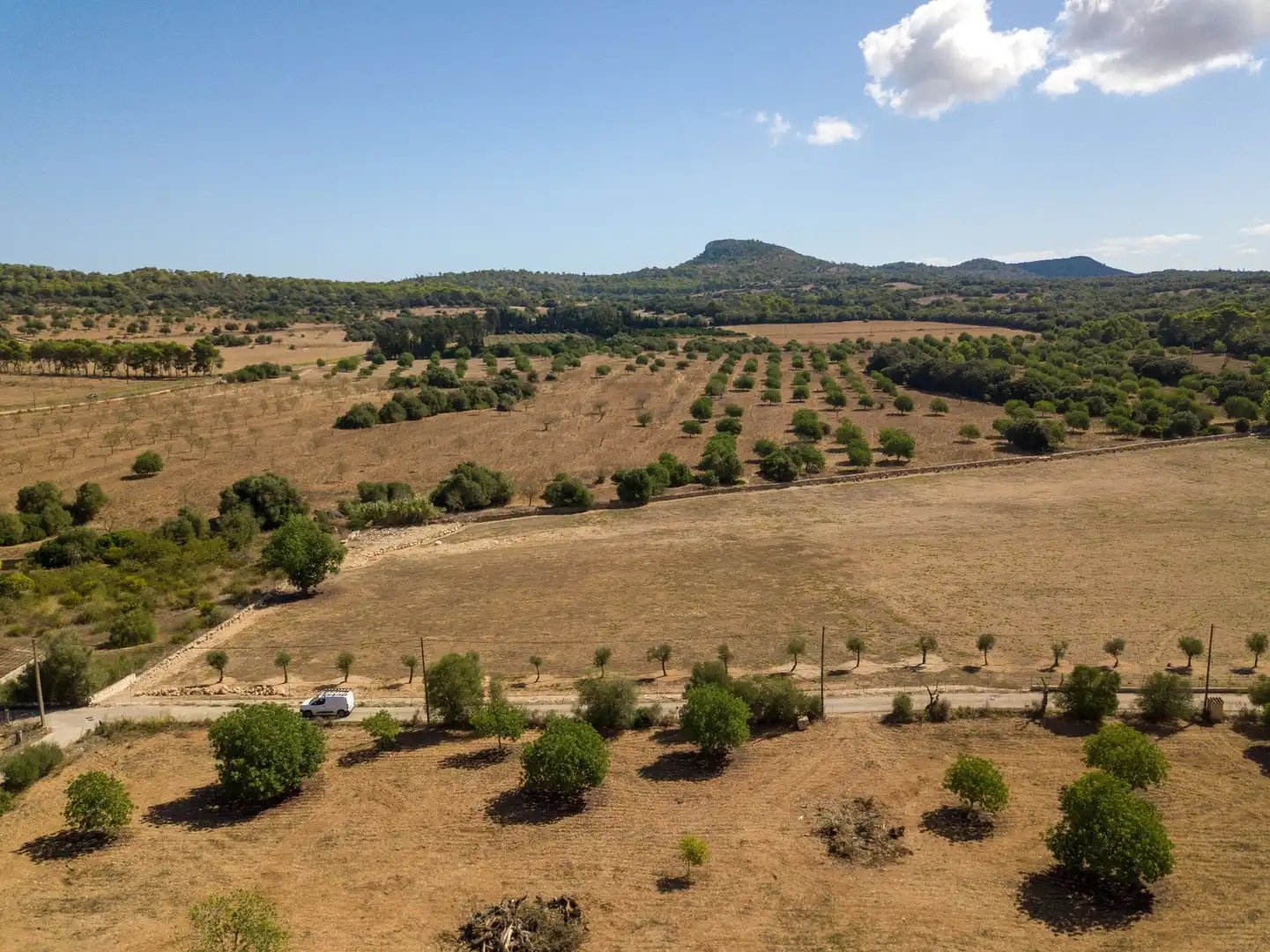 Rural land for sale in Son Vives, imagen 13