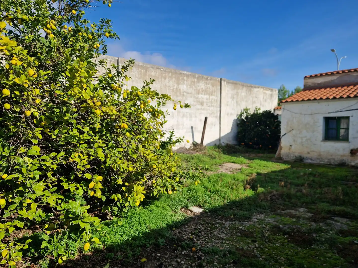 Casa in vendita a Villanueva de la Serena, imagen 6
