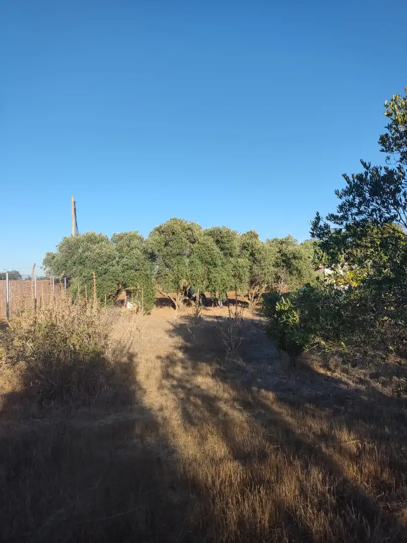 Land for sale in Conil de la Frontera