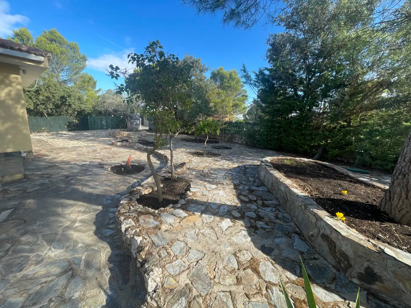 Jardín de Casa o chalet en venta en Albalate de Zorita con Calefacción, Jardín privado y Terraza