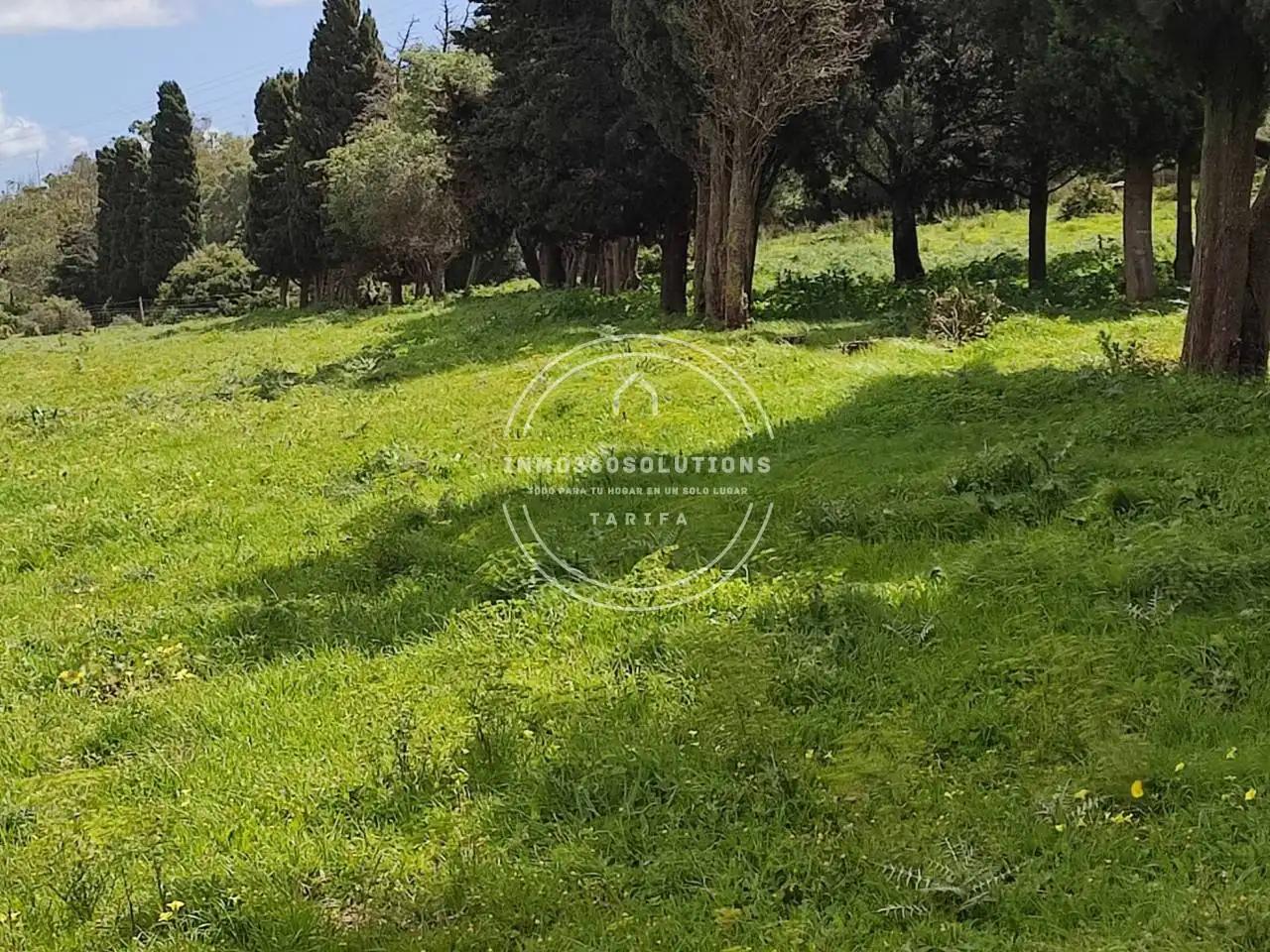 Terreno rustico in vendita a Tarifa ciudad, imagen 9