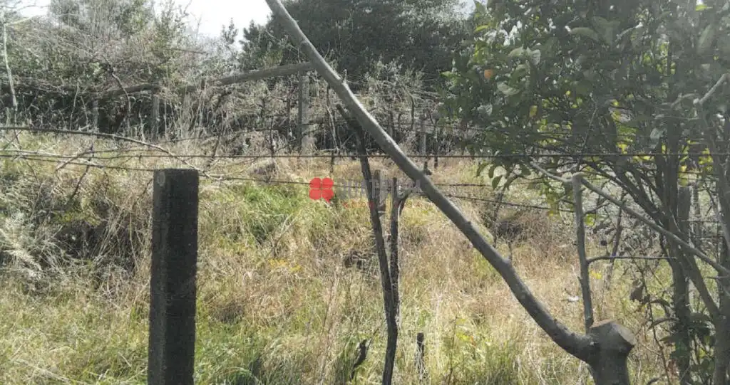 Terrenys i solars en venda a Rianxo, imagen 10