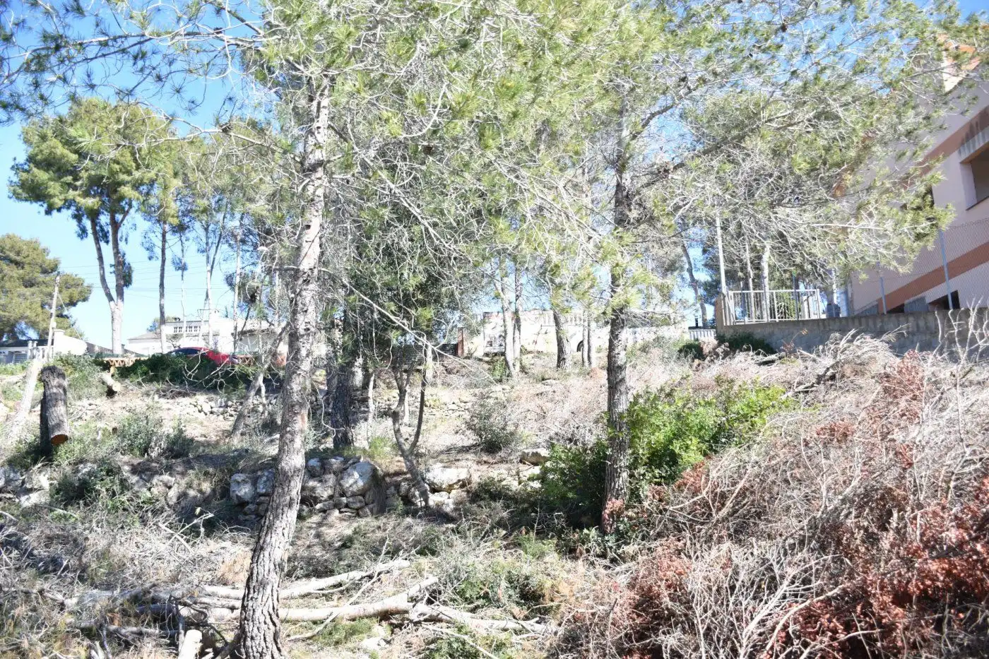 Terreno residencial en venta en Bellvei, imagen 2