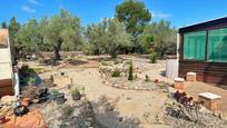 Garden of House or chalet for sale in Roquetes  with Terrace