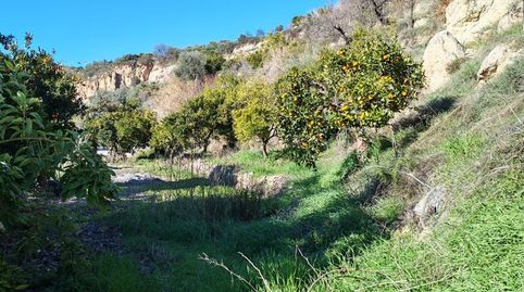Foto 4 de Residencial en venda a Calle Rodriguez de la Borbolla , Albuñuelas, Granada