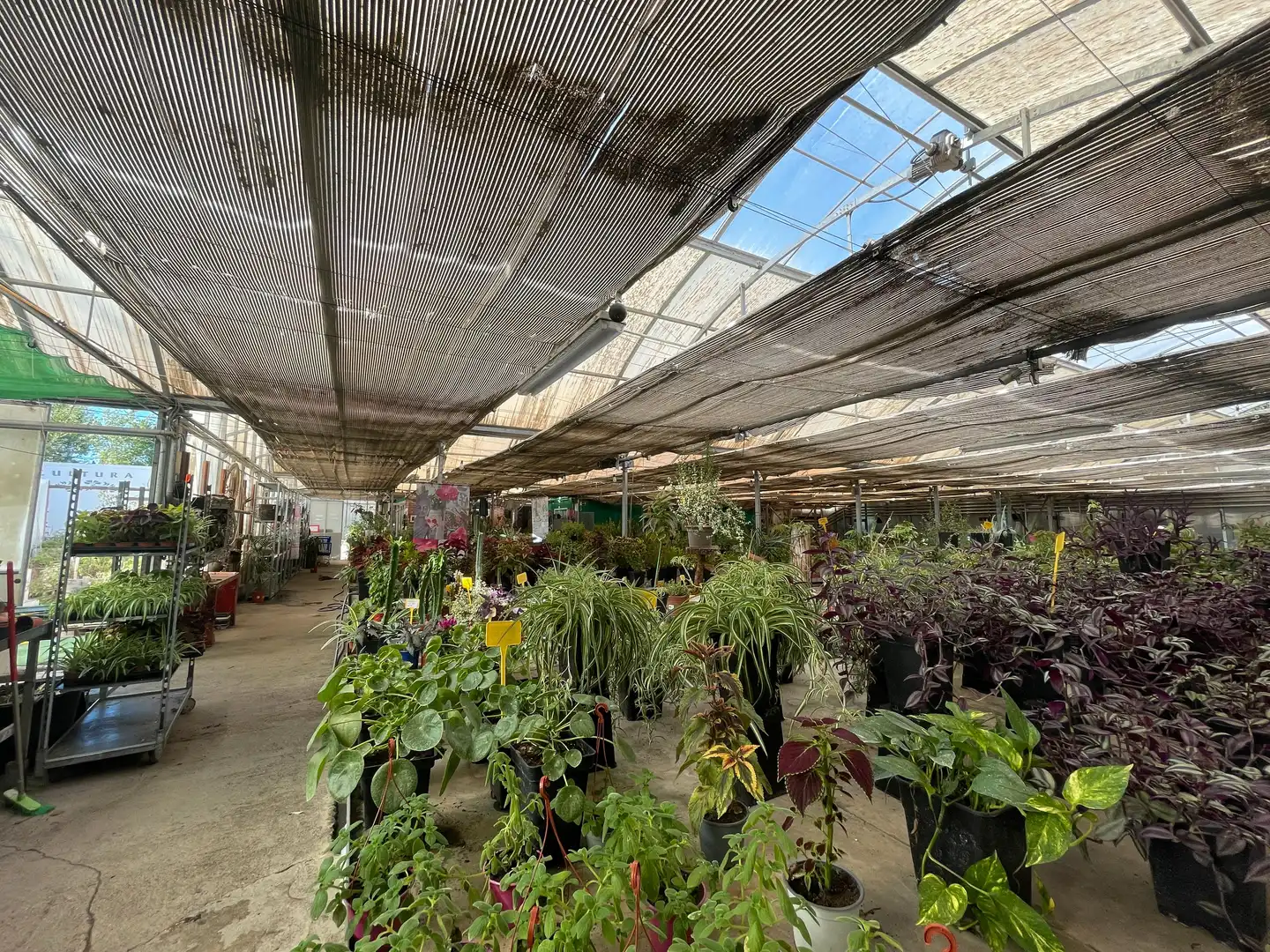 Terreno industrial en venta en Avenida de Madrid, Reyes Católicos