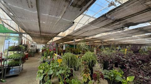 Foto 5 de Terreny industrial en venda a Avenida de Madrid, Reyes Católicos, Madrid