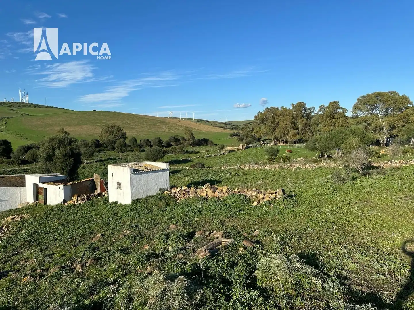 Terreno en venta en Facinas