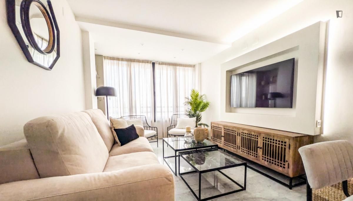 Sala d'estar de Apartament de lloguer en Málaga Capital amb Aire condicionat, Calefacció i Moblat