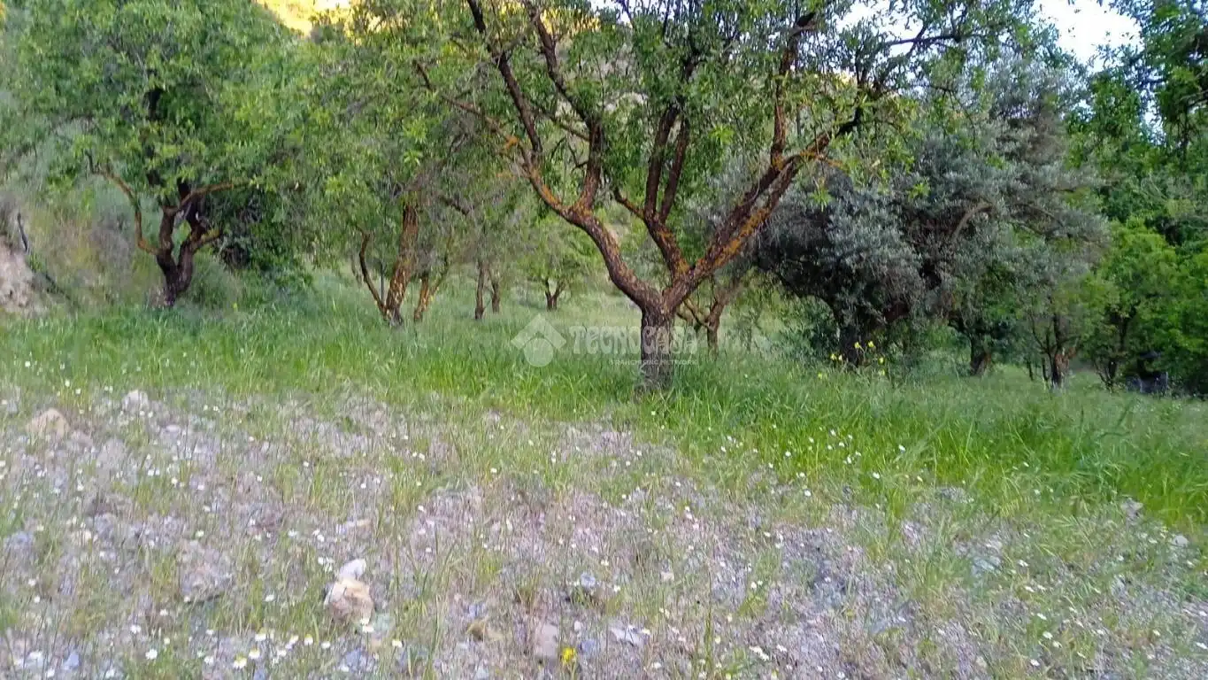Casa rústica en venda a Torvizcón, imagen 3