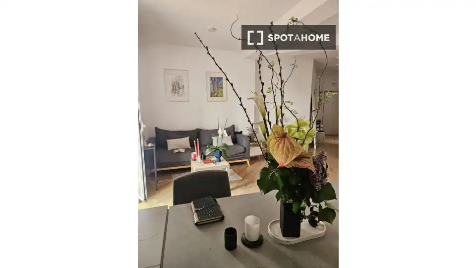 Sala d'estar de Pis per a compartir en Barcelona amb Aire condicionat, Terrassa i Moblat