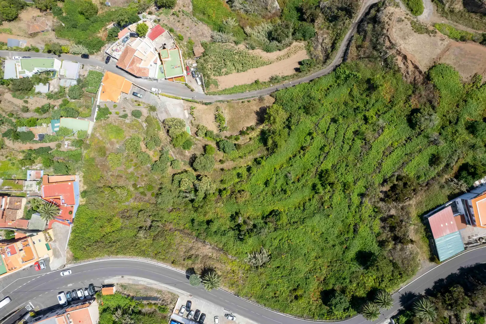 Terreny rústic en venda a Carretera C-221 General Orotava Guancha, imagen 5
