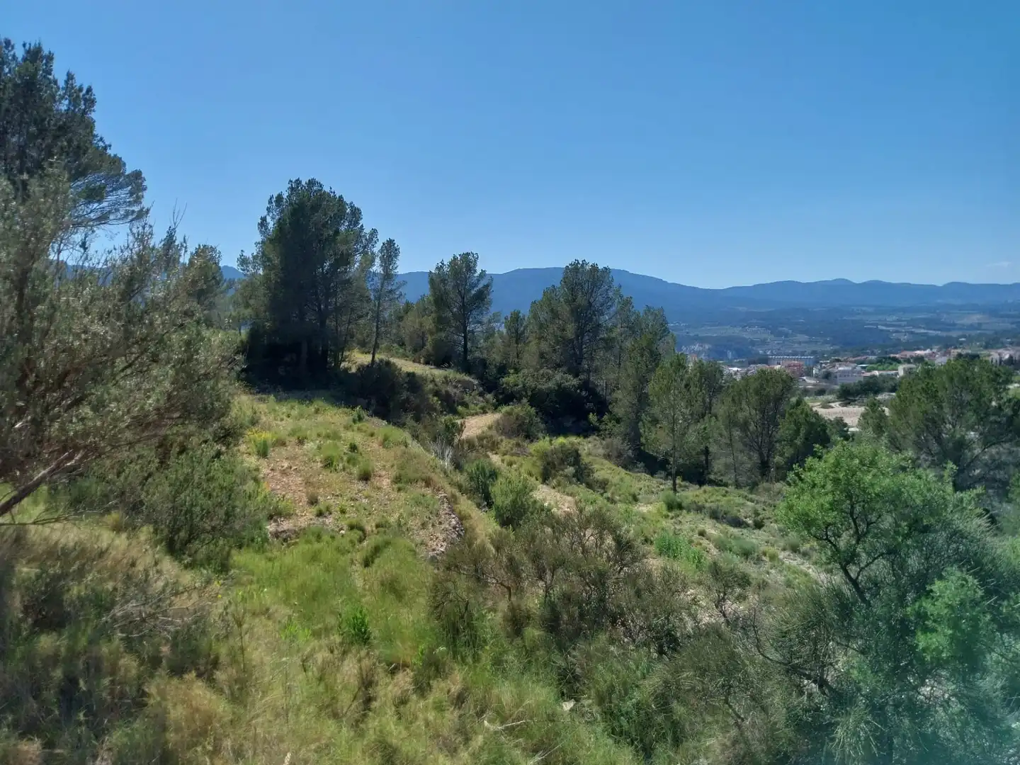 Terreno rustico in vendita a Lugar Castillo, imagen 46