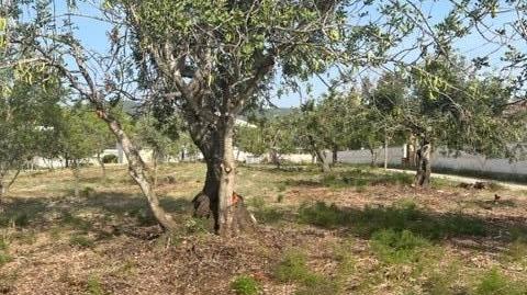 Photo 2 of Residential for sale in Remolins - Sant Jaume, Tarragona