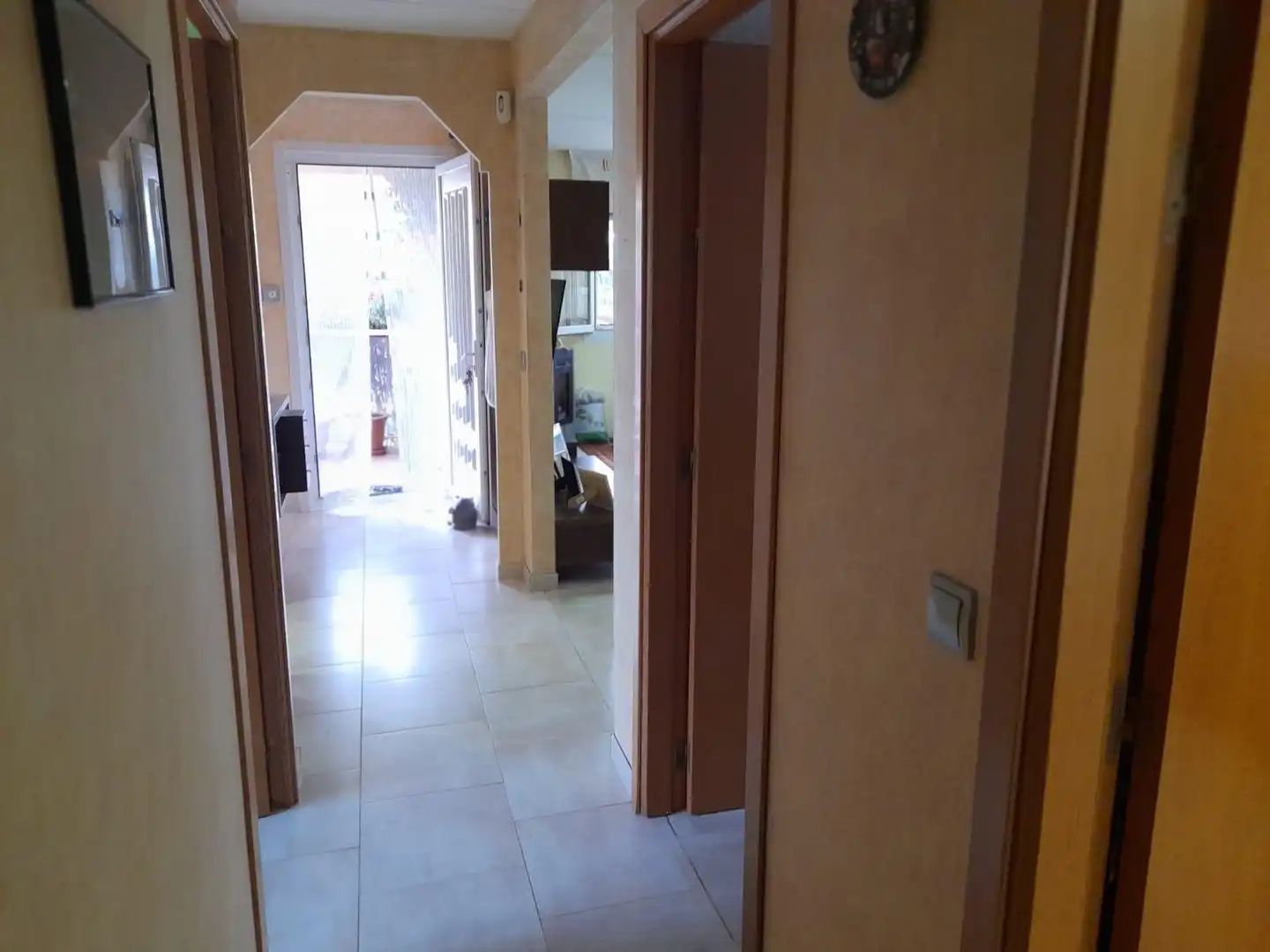 Country homes for sale in Garcia