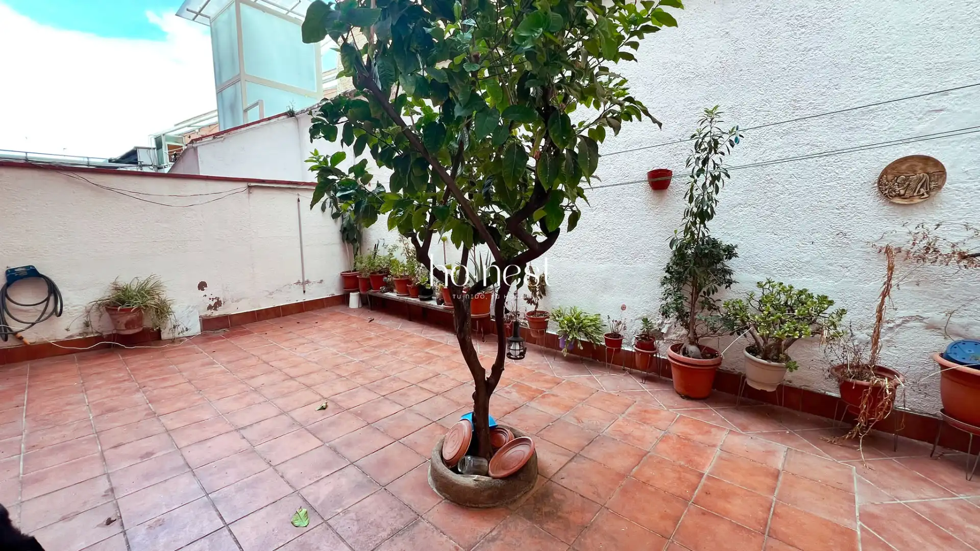 Planta baja en venta en La Salut