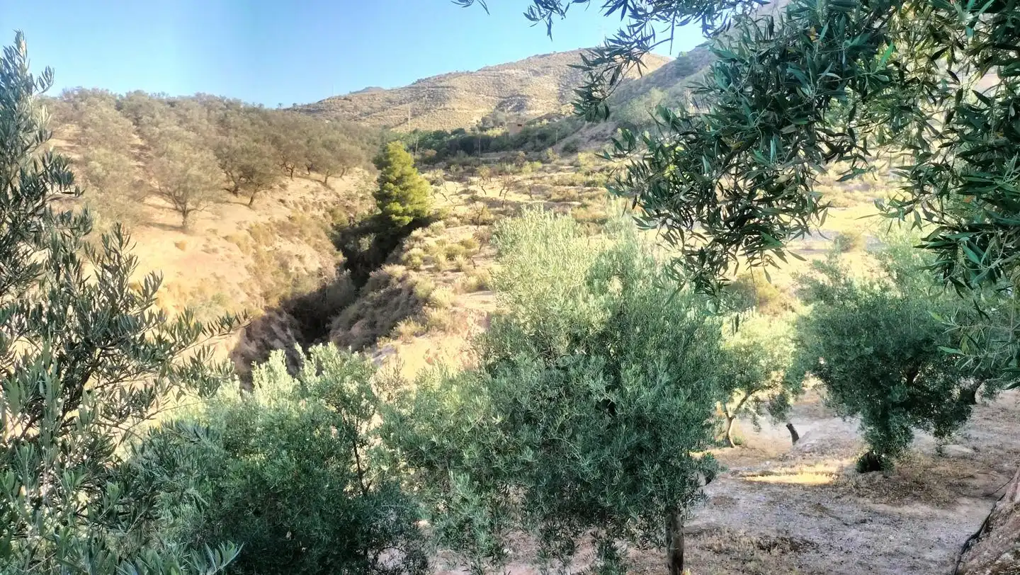 Casa rústica en venda a Camino de Albuñol - Pago de Mira 2, imagen 11