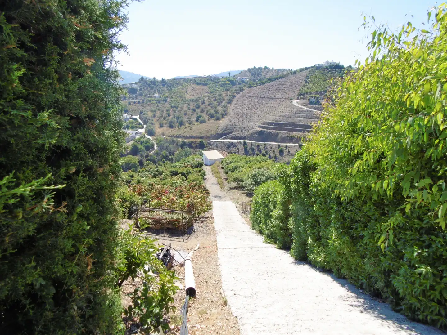 Chalet con terraza en venta en Frigiliana, imagen 55