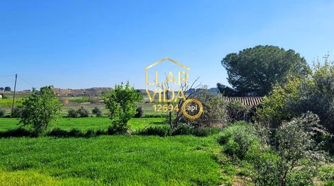 Foto 2 de Finca rústica en venda a Partida Torres de Sanui, Partides Rurals, Lleida Capital
