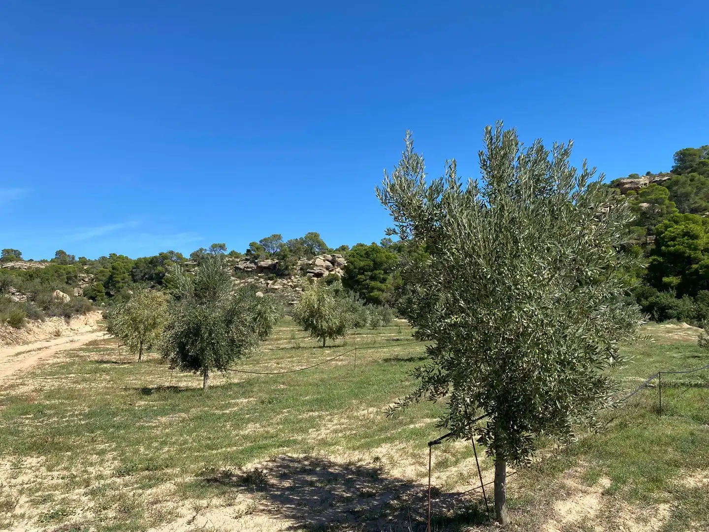 Casa o chalet en venta en Alcañiz con Terraza