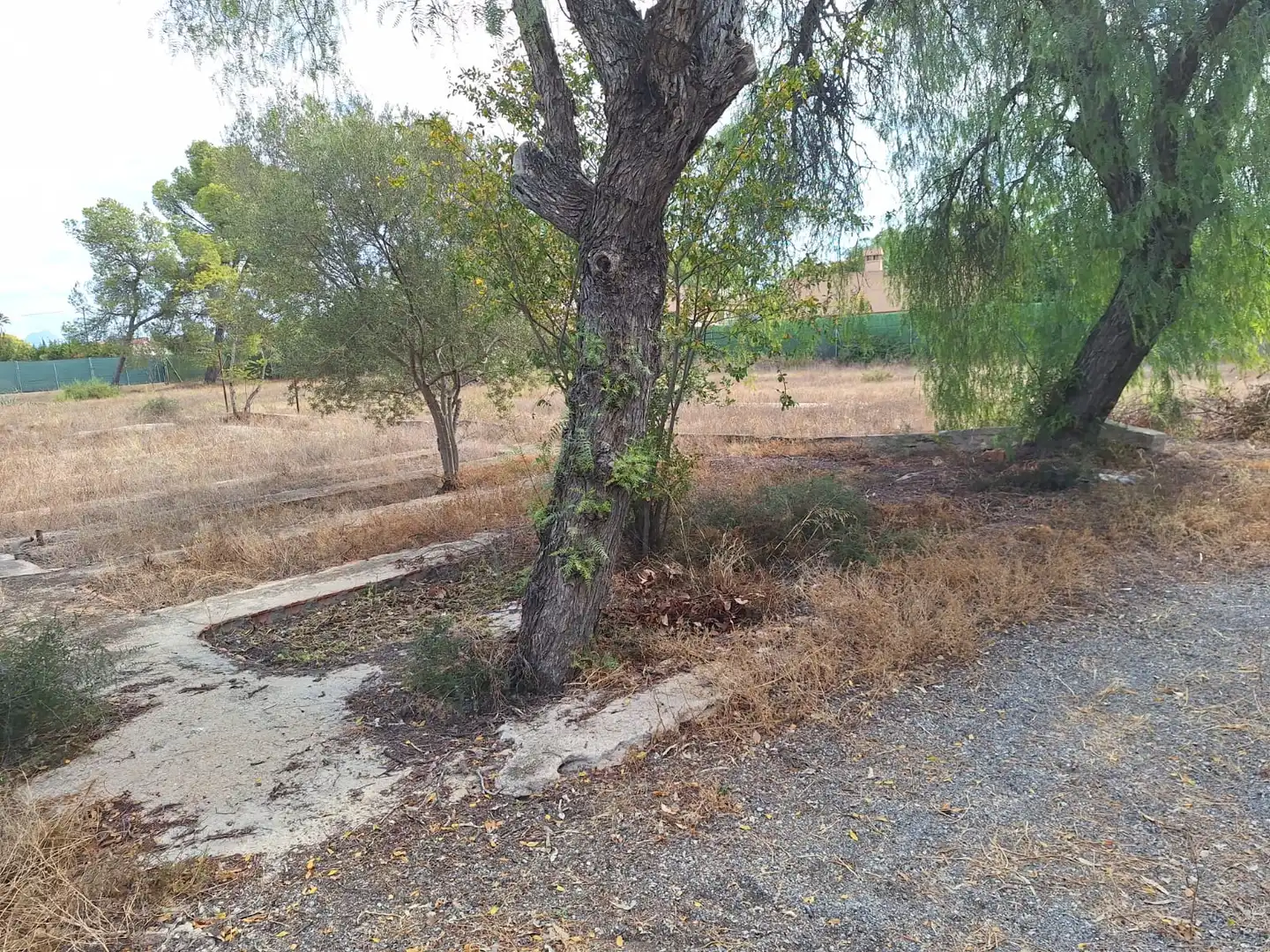 Residencial en venda en San Vicente del Raspeig / Sant Vicent del Raspeig