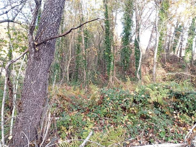 Terreno en Venta en Viandar de la Vera