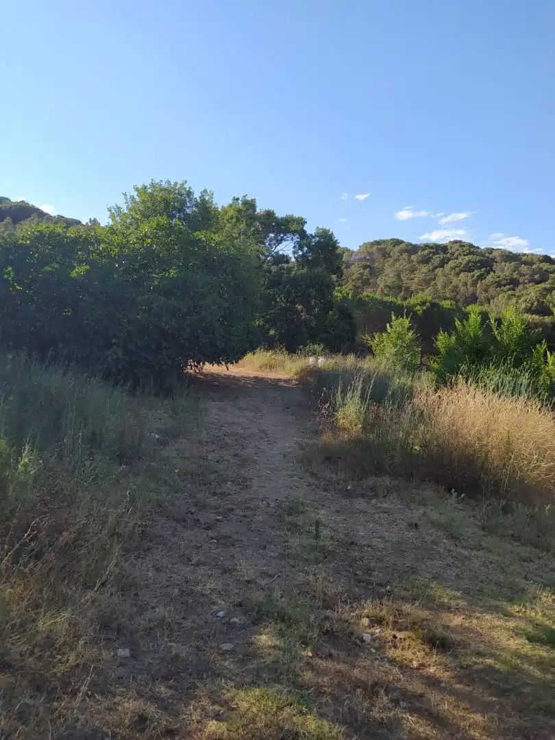 Finca rústica en venta en Riells i Viabrea