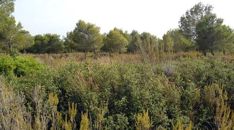 Foto 3 de Residencial en venda a Camí de Ca la Llisses, 16, Sant Jordi d'Alfama, L'Ametlla de Mar