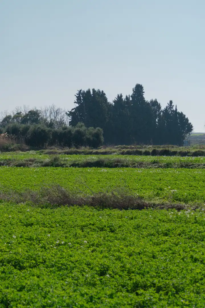 Finca rústica en venda en Pedrola amb Jardí privat, Terrassa i Moblat