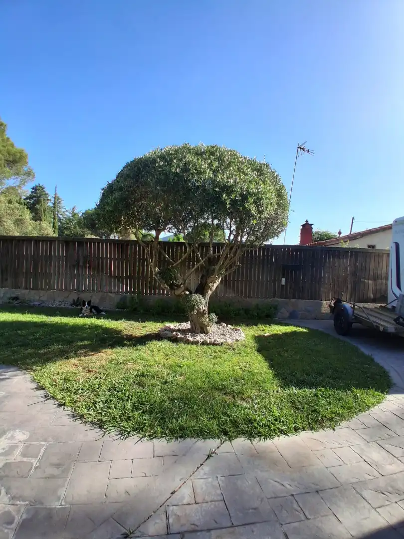 Garden of Houses for sale in Vacarisses  with Air Conditioner, Heating and Private garden