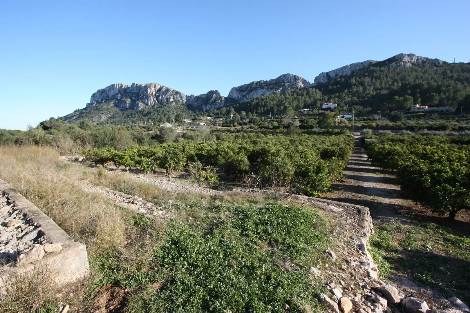 Lands and plots for sale in Benimeli, imagen 3
