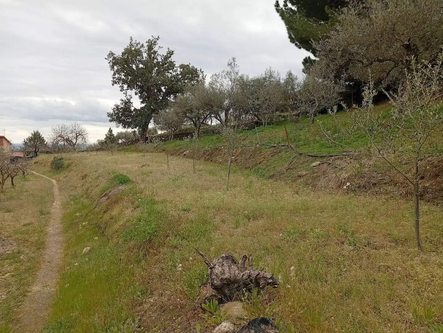 Terreni e lotti in vendita a Villanueva de la Vera, imagen 26