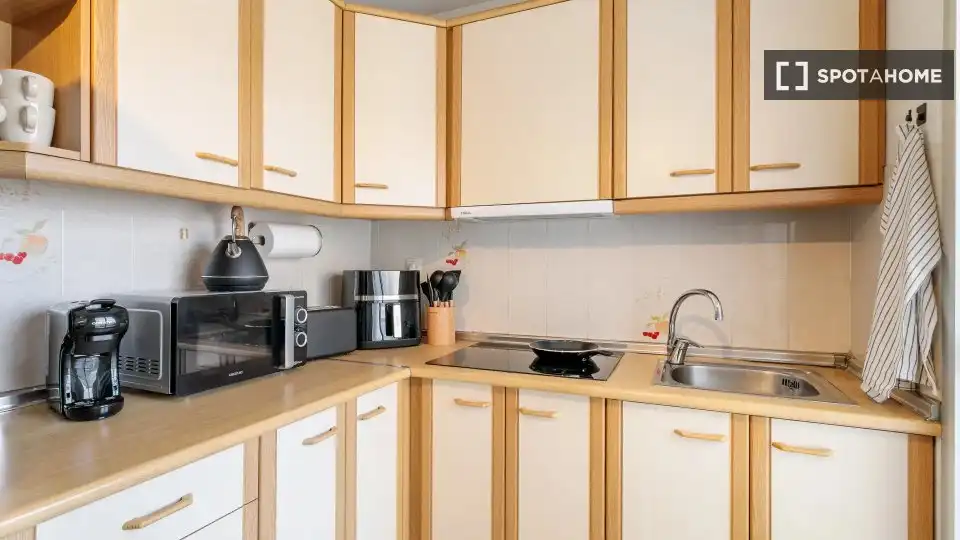 Kitchen of Flat for rent in Alicante / Alacant  with Air Conditioner, Heating and Furnished
