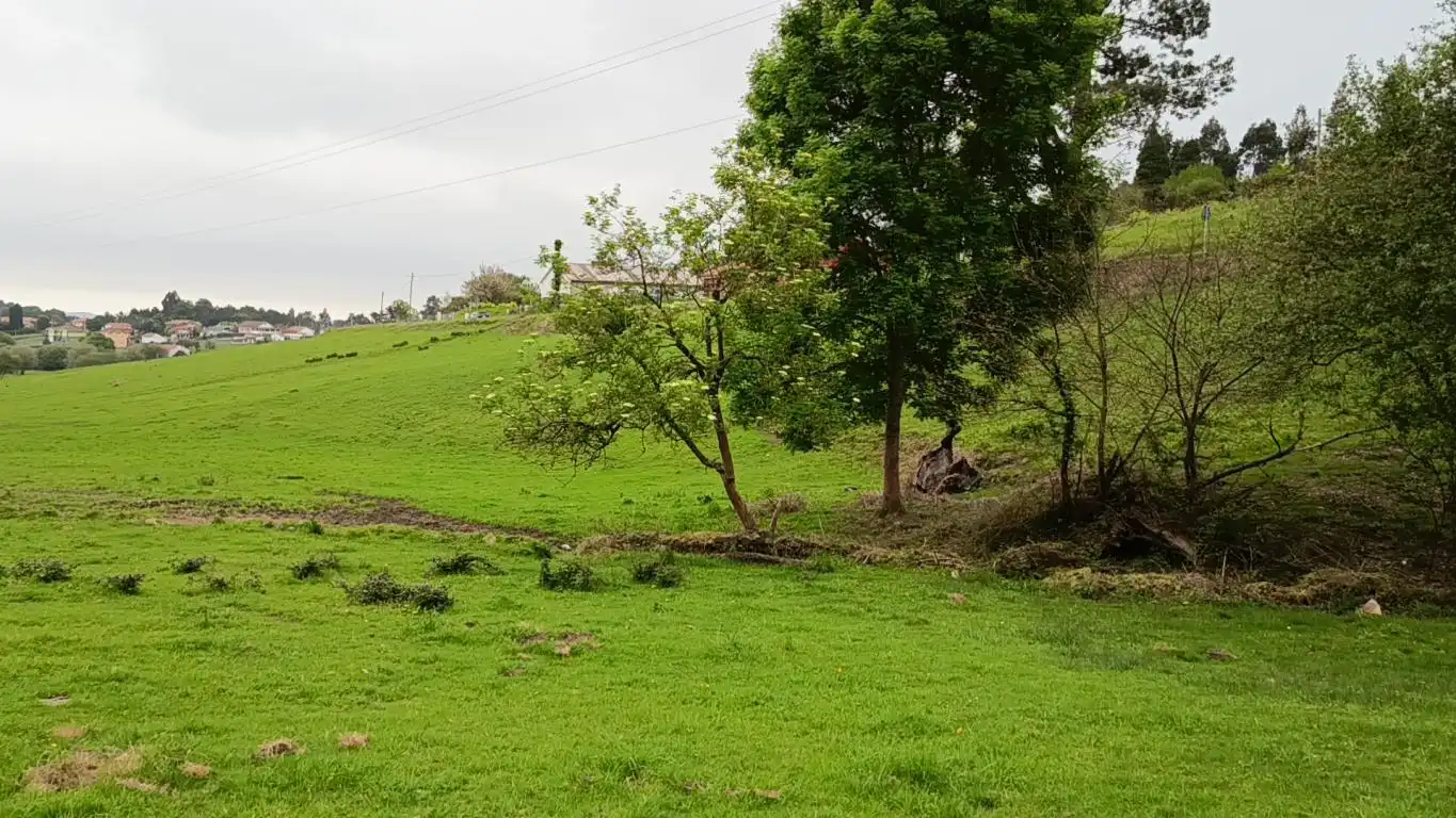 Grundstücke und Bauplätze zum Verkauf in Caserio La Laguna, imagen 4