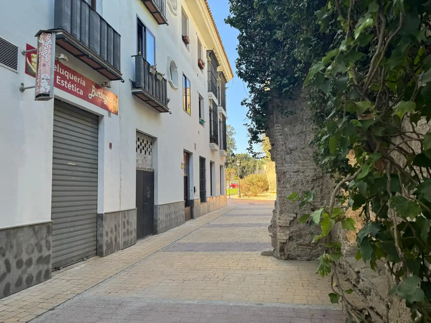 Business premises for sale in Centro, imagen 4
