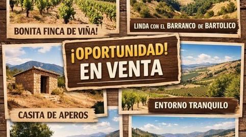 Foto 4 de Terreno en venta en  Polígono 6 Parcela 151 Umbria Martina. Frailes (j, Frailes, Jaén