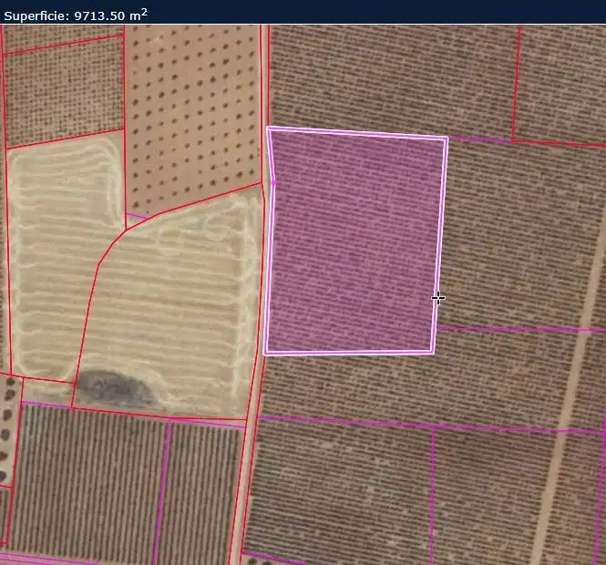 Rural land for sale in Valdepeñas, imagen 17
