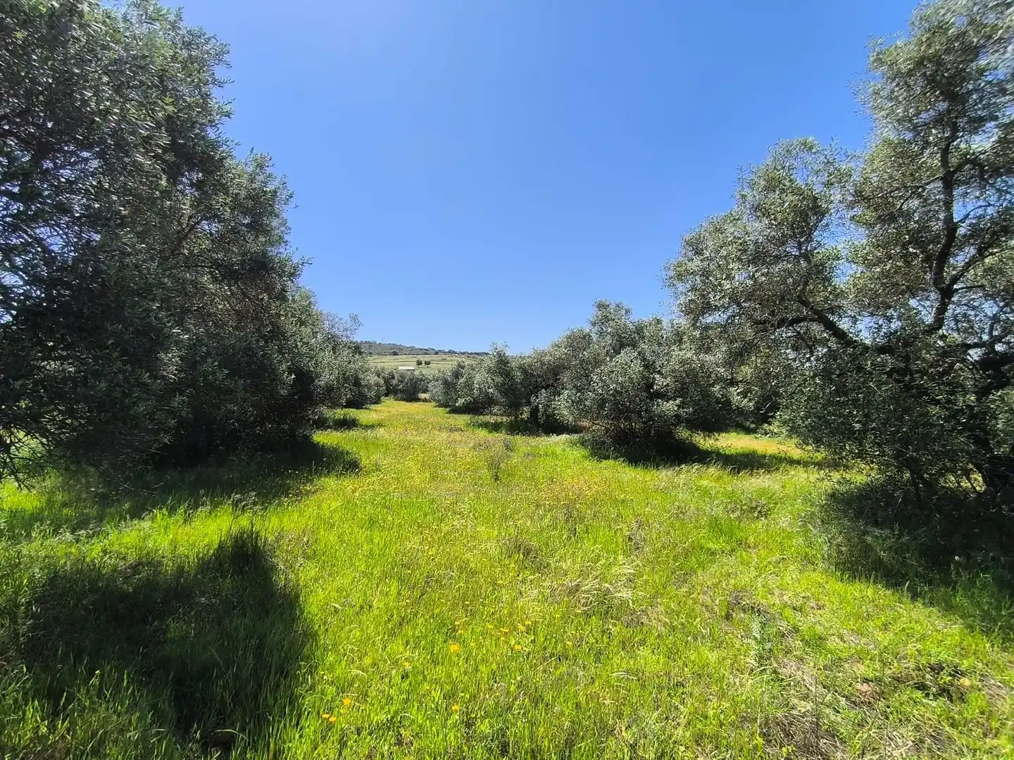Terreni e lotti in vendita a Urbanizacion la Colinas, imagen 9