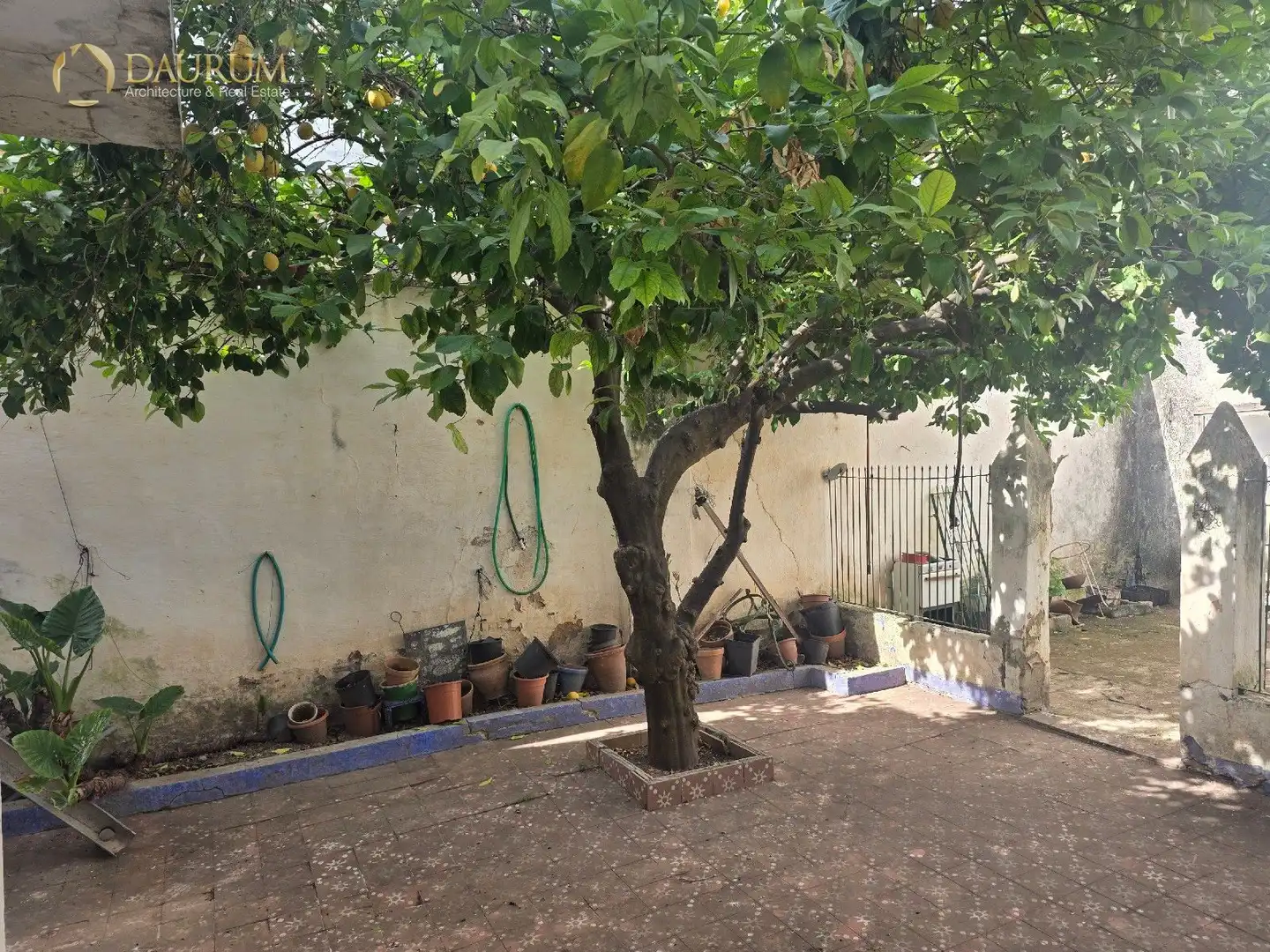 Jardín de Casa o chalet en venta en La Algaba con Jardín privado, Terraza y Trastero