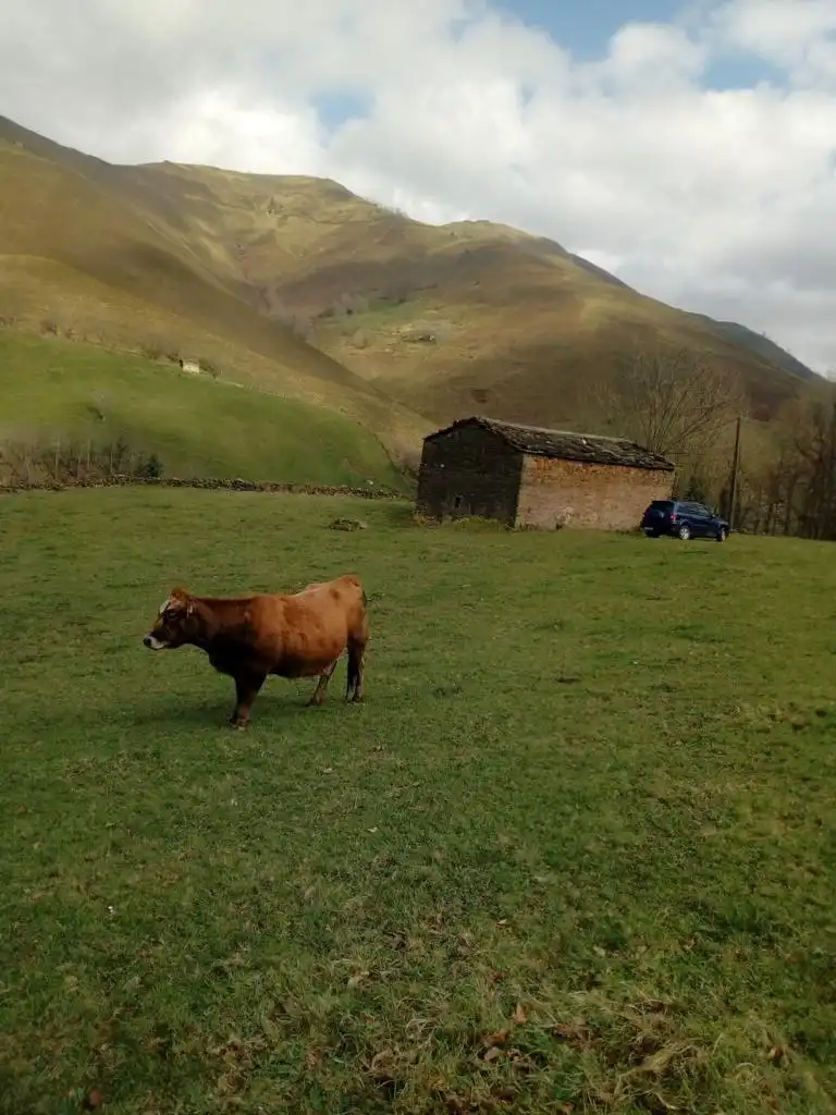 Vista exterior de Casa o xalet en venda en Vega de Pas amb Jardí privat