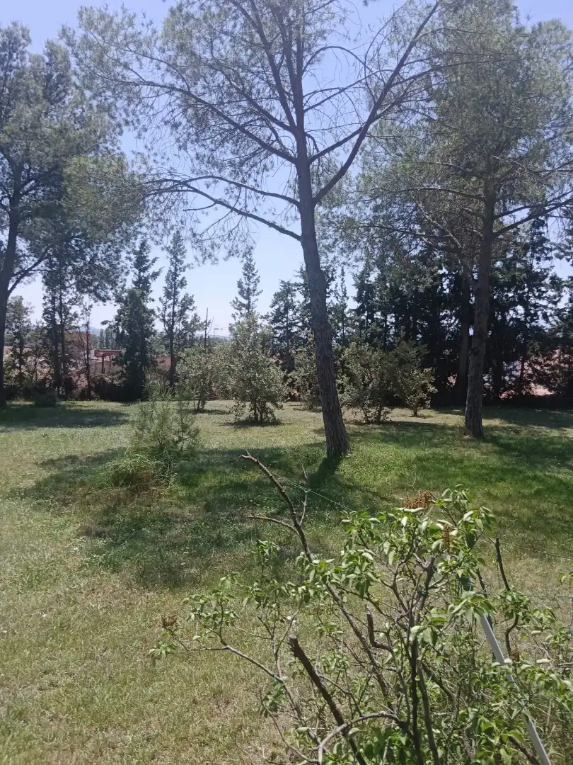 Casa o xalet en venda en Cascante amb Calefacció, Jardí privat i Parquet