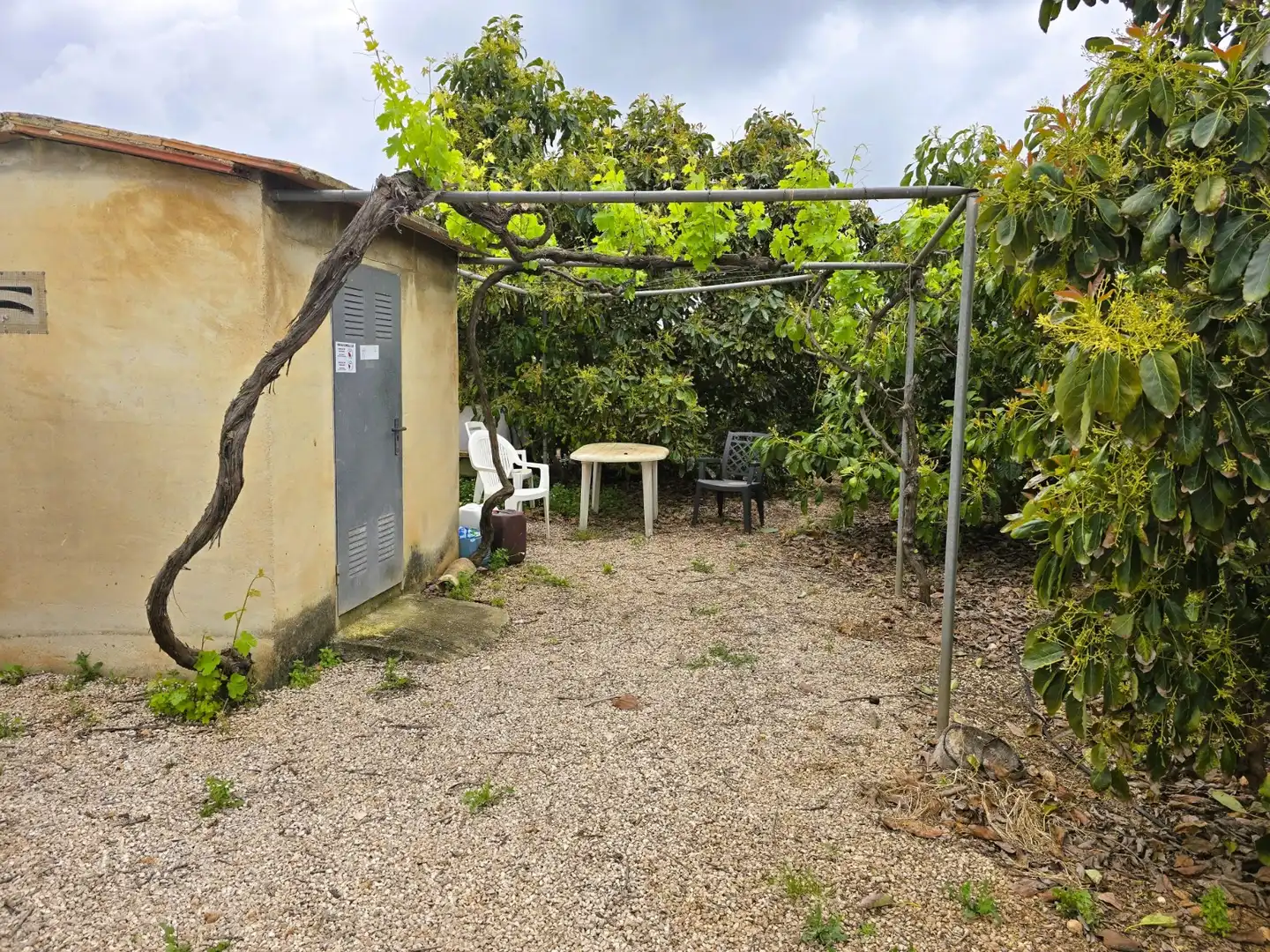 Jardí de Residencial en venda en Pego