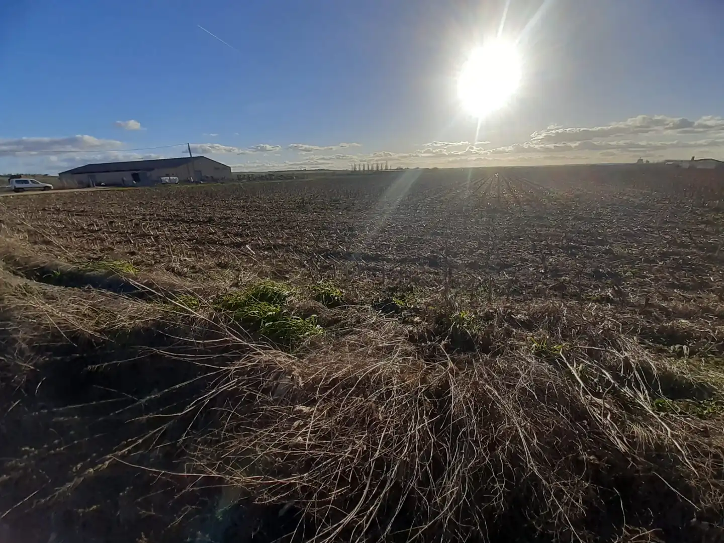 Land for sale in Villaralbo