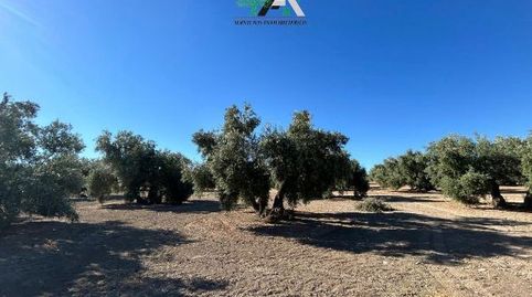 Terreno en venta en El Gordal, Baeza, immagine 4