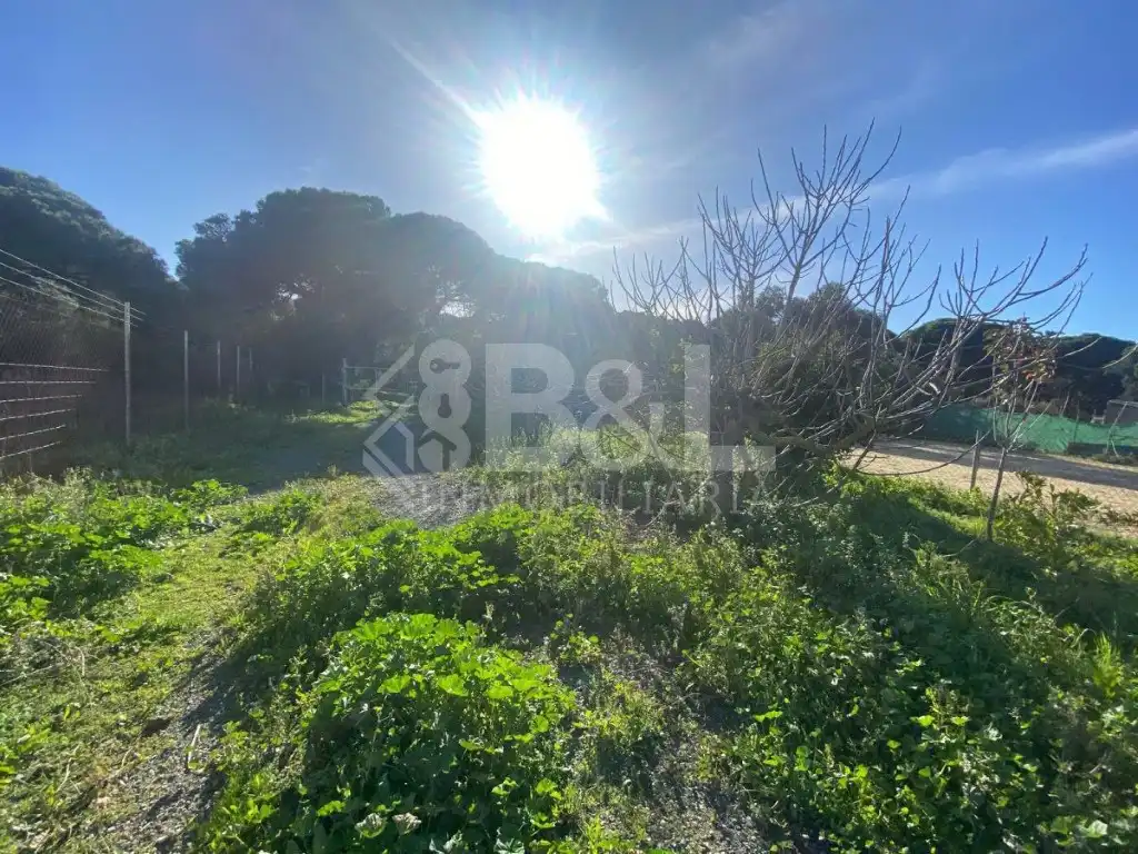 Finca rústica en venta en Gibraleón